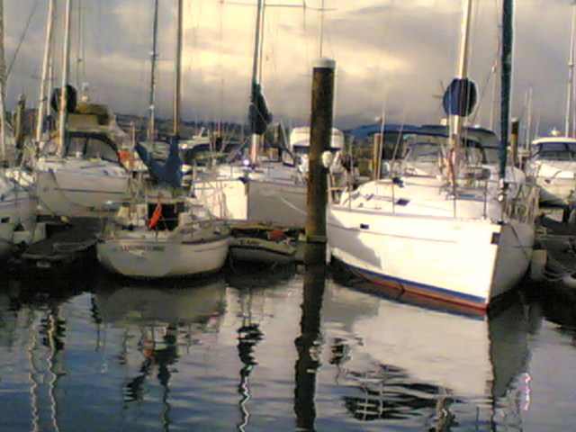 Turnstone in Brixham Marina...